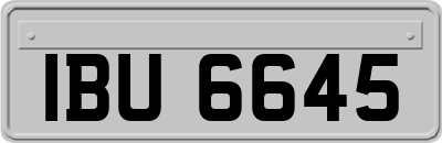 IBU6645