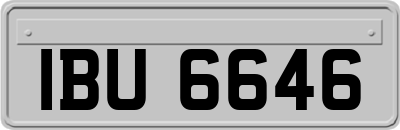 IBU6646
