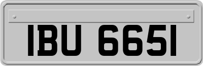IBU6651