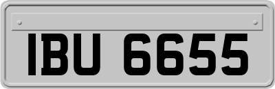 IBU6655
