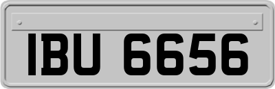 IBU6656