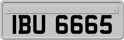 IBU6665
