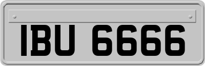 IBU6666