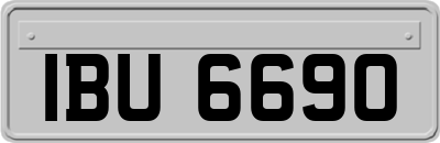 IBU6690