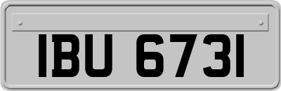 IBU6731