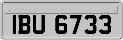 IBU6733