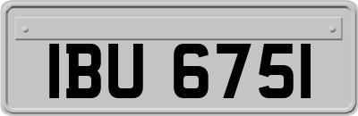 IBU6751