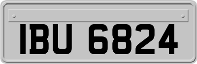 IBU6824