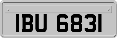 IBU6831