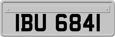 IBU6841