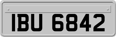 IBU6842