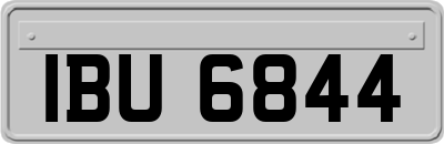 IBU6844