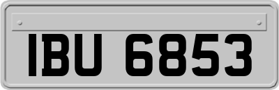 IBU6853