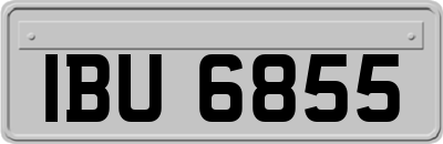 IBU6855
