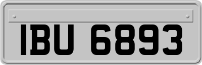 IBU6893