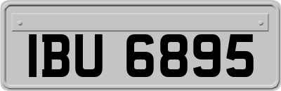IBU6895