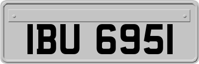 IBU6951