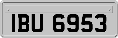 IBU6953