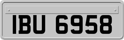 IBU6958