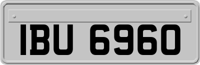 IBU6960