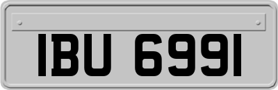 IBU6991