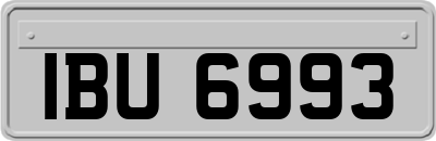 IBU6993