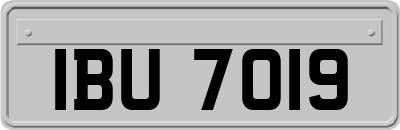 IBU7019