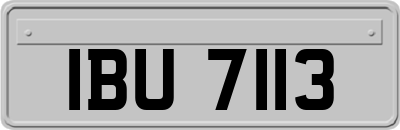 IBU7113