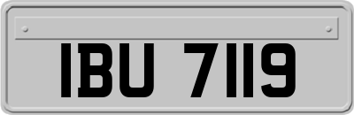 IBU7119