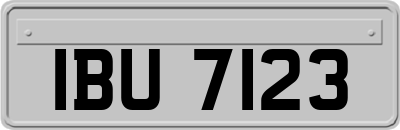 IBU7123