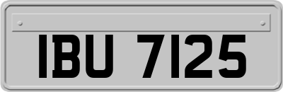 IBU7125