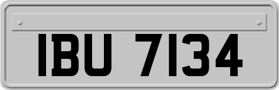 IBU7134