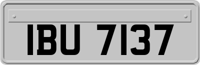 IBU7137