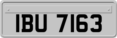 IBU7163