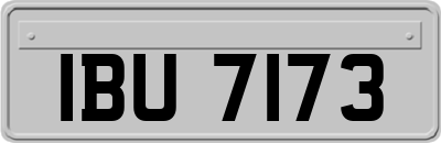 IBU7173