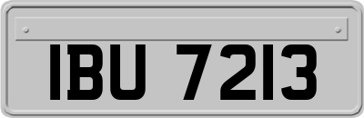 IBU7213