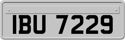 IBU7229