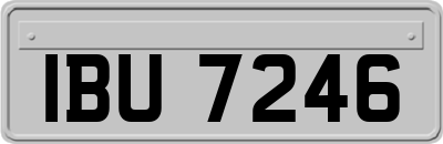 IBU7246