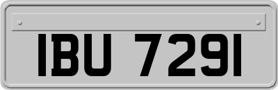 IBU7291