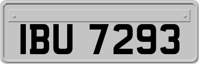 IBU7293