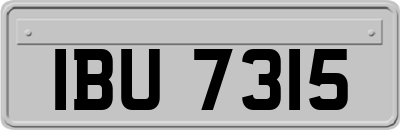 IBU7315