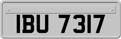 IBU7317
