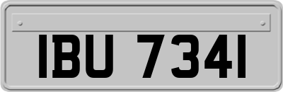 IBU7341