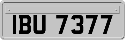 IBU7377