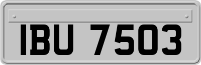 IBU7503