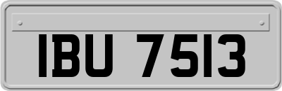 IBU7513