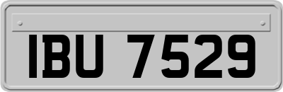 IBU7529