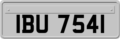 IBU7541