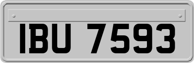 IBU7593