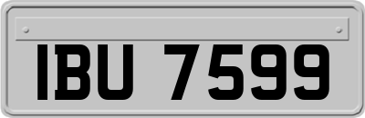 IBU7599